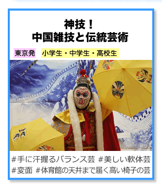 神技！ 中国雑技と伝統芸術